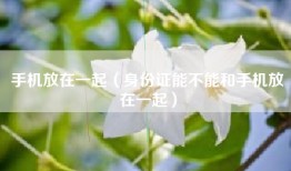 手机放在一起（身份证能不能和手机放在一起）