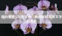 国内免费AI写作平台：助你轻松驾驭文字的未来