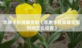 苹果手机屏幕变暗（苹果手机屏幕变暗时间怎么设置）