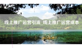 线上推广运营引流_线上推广运营成本