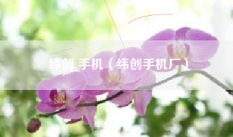 纬创 手机（纬创手机厂）