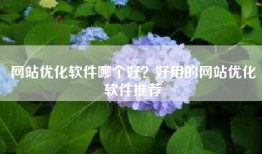 网站优化软件哪个好？好用的网站优化软件推荐