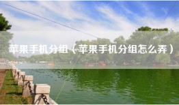 苹果手机分组（苹果手机分组怎么弄）