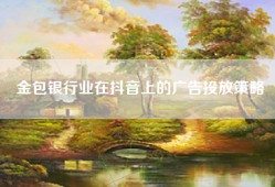 金包银行业在抖音上的广告投放策略