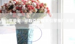 2020年最新JS获取百度搜索引擎推广关键字方法