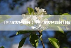 手机销售好做吗（手机销售好做吗月薪多少）
