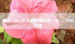 美国一名16岁女孩涉嫌杀害一名Uber司机被捕