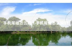 手机尾插怎么换（手机尾插怎么换的）