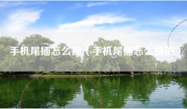手机尾插怎么换（手机尾插怎么换的）