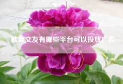 欧美交友有哪些平台可以投放广告
