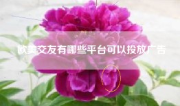欧美交友有哪些平台可以投放广告