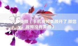 手机视频美颜（手机视频美颜开了,微信视频没有美颜）