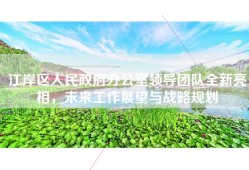 江岸区人民政府办公室领导团队全新亮相，未来工作展望与战略规划