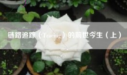 链路追踪（Tracing）的前世今生（上）