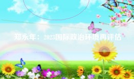 郑永年：2023国际政治环境再评估