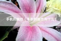 手机的属性（手机的属性有什么）
