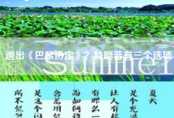 退出《巴黎协定》？特朗普有三个选项