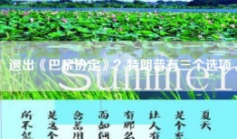 退出《巴黎协定》？特朗普有三个选项