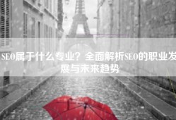 SEO属于什么专业？全面解析SEO的职业发展与未来趋势