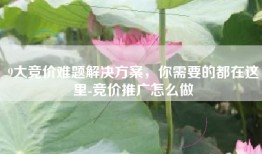 9大竞价难题解决方案，你需要的都在这里-竞价推广怎么做