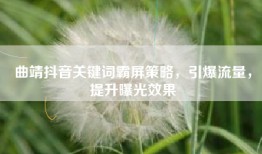 曲靖抖音关键词霸屏策略，引爆流量，提升曝光效果