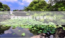 诺基亚130手机（诺基亚130ds）