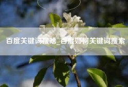 百度关键词搜啥_百度如何关键词搜索