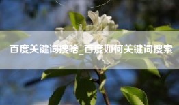 百度关键词搜啥_百度如何关键词搜索