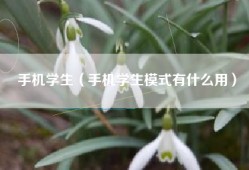 手机学生（手机学生模式有什么用）