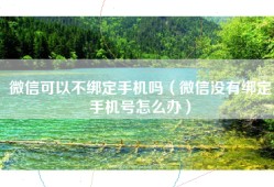 微信可以不绑定手机吗（微信没有绑定手机号怎么办）