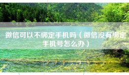 微信可以不绑定手机吗（微信没有绑定手机号怎么办）