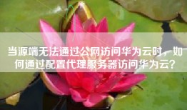 当源端无法通过公网访问华为云时，如何通过配置代理服务器访问华为云？