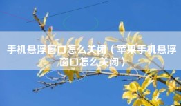 手机悬浮窗口怎么关闭（苹果手机悬浮窗口怎么关闭）