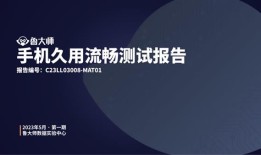 鲁大师20款手机久用流畅测试  OPPO夺得第一手机鲁大师「鲁大师20款手机久用流畅测试  OPPO夺得第一」