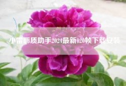 小雷画质助手2024最新120帧下载安装