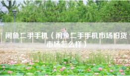 闲鱼二手手机（闲鱼二手手机市场旧货市场怎么样）