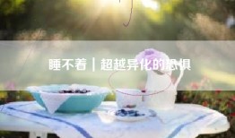 睡不着｜超越异化的恐惧