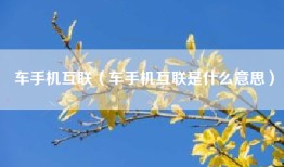 车手机互联（车手机互联是什么意思）