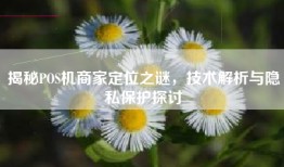 揭秘POS机商家定位之谜，技术解析与隐私保护探讨