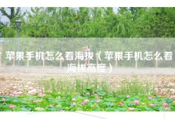 苹果手机怎么看海拔（苹果手机怎么看海拔高度）