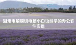 湖州电脑培训电脑小白也能学的办公软件实操