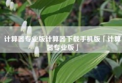 计算器专业版计算器下载手机版「计算器专业版」