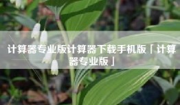 计算器专业版计算器下载手机版「计算器专业版」