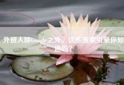 外贸人除Google之外，这些搜索引擎你知道吗？