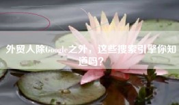 外贸人除Google之外，这些搜索引擎你知道吗？