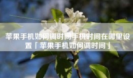苹果手机如何调时间手机时间在哪里设置「苹果手机如何调时间」