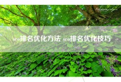 seo排名优化方法 seo排名优化技巧