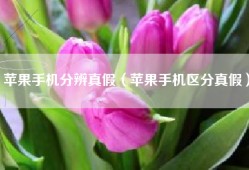 苹果手机分辨真假（苹果手机区分真假）