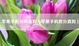苹果手机分辨真假（苹果手机区分真假）