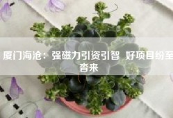 厦门海沧：强磁力引资引智  好项目纷至沓来
